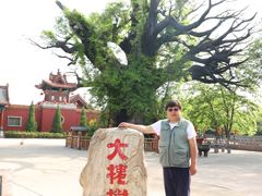 -大槐树寻根祭祖园