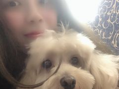 -致善宠物医院(体育路店)