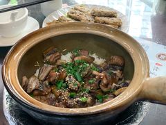 -红星光发煲仔饭(文海店)