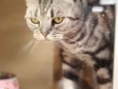 -猫和宫(六道口店)