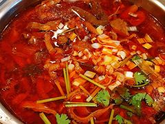 锅仔羊杂-凯鸽酒楼(操场城店)