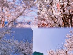 -龙美术馆(西岸馆)