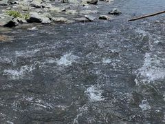 -九鲤溪瀑景区