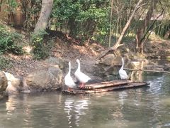 -兰亭风景区