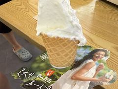 -野人先生Gelato(上海长宁龙之梦店)