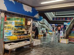 -岳各庄批发市场(西四环中路店)