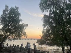 -宝安西湾红树林湿地公园