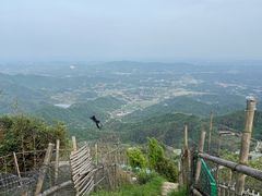 -长沙黑麋峰国家森林公园