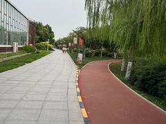 -南翠屏公园