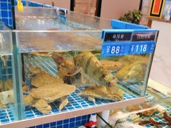 -阿明小菜·海鲜·上海菜(梅陇华理店)