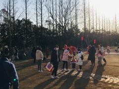 -前小桔亲子创意农场·草莓采摘·露营烧烤