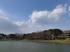 -尚贤河湿地