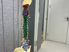 -优复医疗·骨科康复UP Clinic(陆家嘴院区)