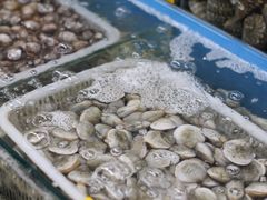 -渔民船说·北塘海鲜·天津菜·海肠捞饭(北塘古镇店)