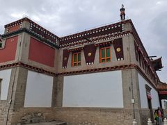 -塔尔寺-菩提树