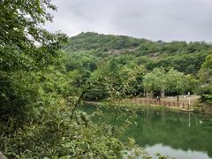 -白马涧龙池景区