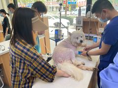 -联合动物医院(光谷诊疗中心)