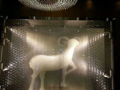 android_upload_pic-新兴·金羊座·粤菜点心(乐峰店)