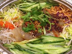 -林口邵胖子大鹅(新安街东五店)