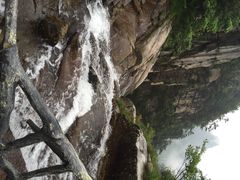 iphone_upload_pic-大明山自然探索公园