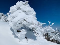 -终南山国家森林公园