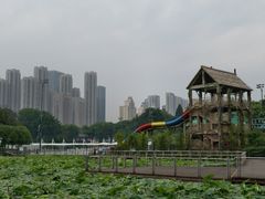 -月湖风景区