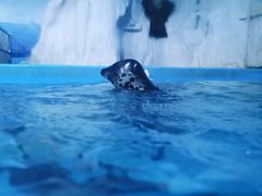 -多彩贵州城极地海洋世界