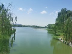 -大兴滨河森林公园