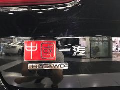 -XPEL（大望路超级旗舰店）(国贸店)