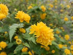 -宣武艺园