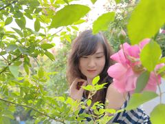 -鸭血粉丝窝·倾城之巅