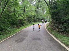 -青龙山国家森林公园