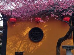 -佬钱湾仔(衣裳街店)