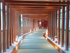 -重庆南山海昌汤都