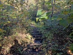 -天女山森林公园