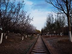 -永定河休闲森林公园