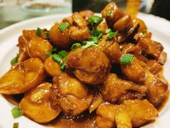 板栗鸡-新侨小馆(东直门北小街店)