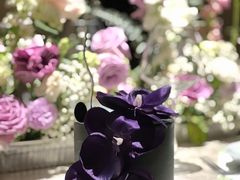 -villaa·别墅·融合菜西餐厅