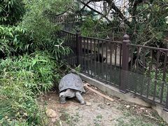 -广东惠东海龟国家级自然保护区