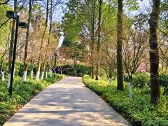 -南山植物园