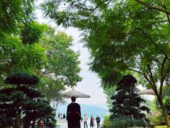 -铁山坪森林公园