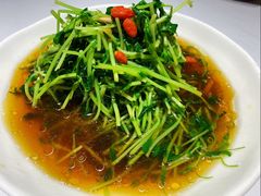 -丰收日(五角场店)