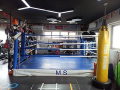 -M.S拳击泰拳馆(大学路店)
