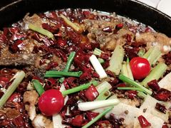 -老板恋上鱼(恒隆广场店)