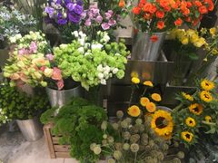 -植物学家的女儿(北马道巷店)