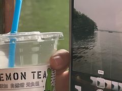 -西湖游船
