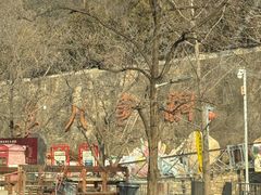 -八奇洞景区