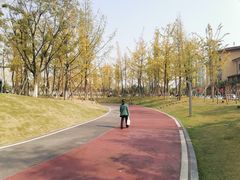 -府河摄影公园
