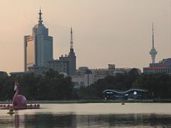 -莲花池公园