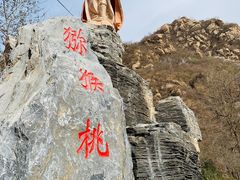 -大岭沟猕猴桃谷风景区